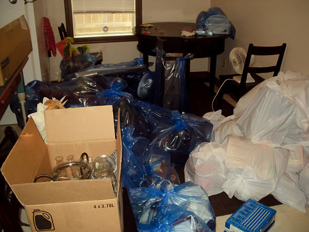 Attic Cleanout Services in Bayou Vista, LA